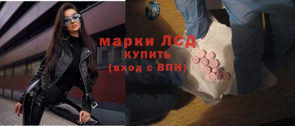 мдпв Богородск
