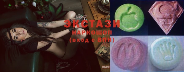 ECSTASY Богородицк
