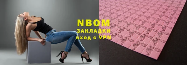 мдпв Богородск