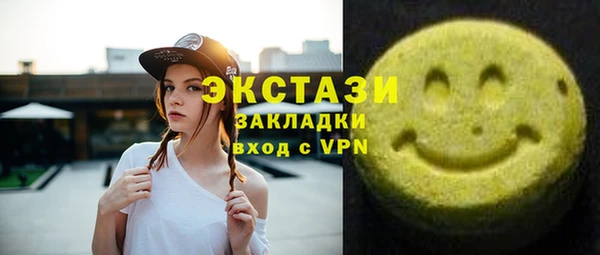 мдпв Богородск