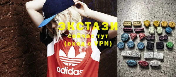 ECSTASY Богородицк