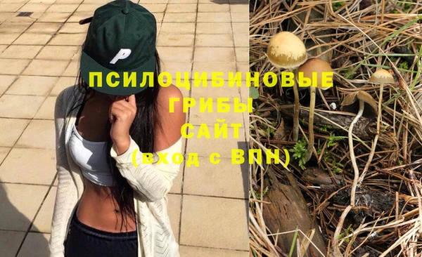 ECSTASY Богородицк
