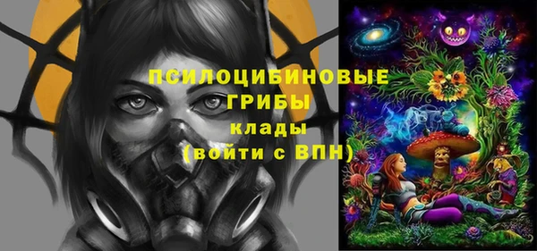 PSILOCYBIN Балабаново
