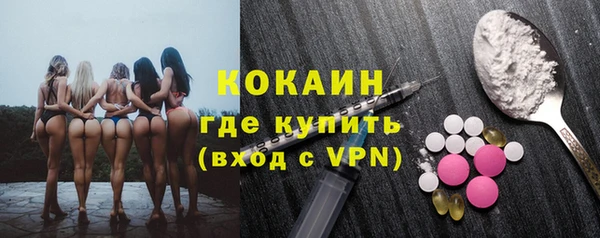 мдпв Богородск