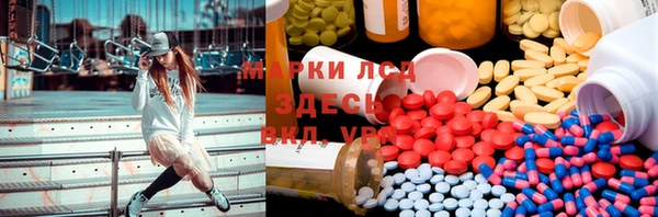 ECSTASY Богородицк