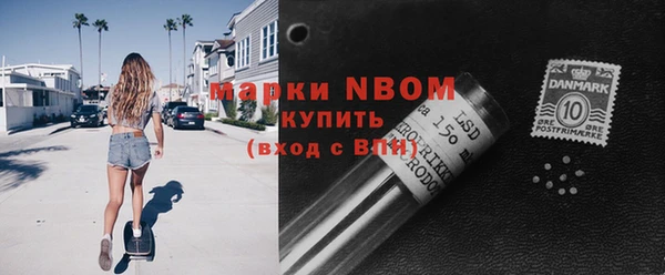 мдпв Богородск