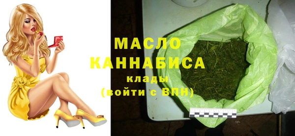 ECSTASY Богородицк